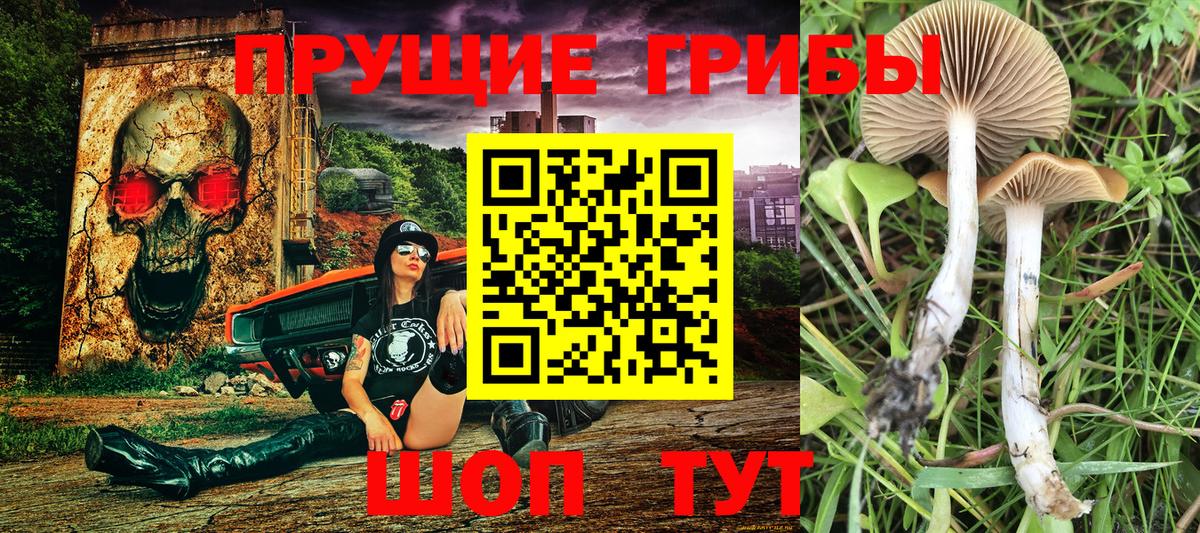 Псилоцибиновые грибы MAGIC MUSHROOMS Дедовск