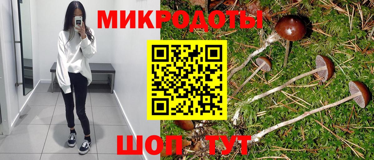 купить закладку  Псилоцибиновые грибы мицелий  Вход с VPN  Дедовск 